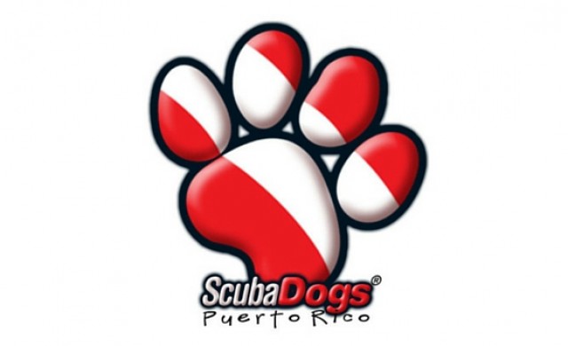 Scuba Dogs