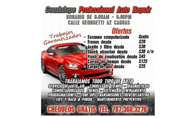 Guadalupe Professional Auto Repair