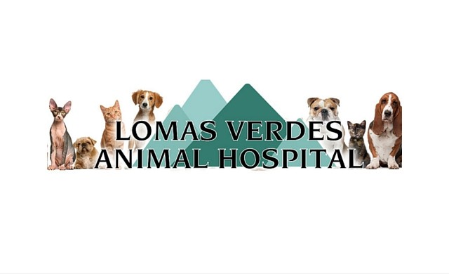 Lomas Verdes Animal Hospital