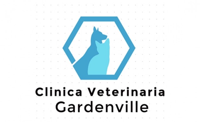 Clínica Veterinaria Gardenville Dr. Harold Lidín