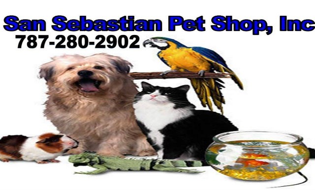 San Sebastian Pet Shop