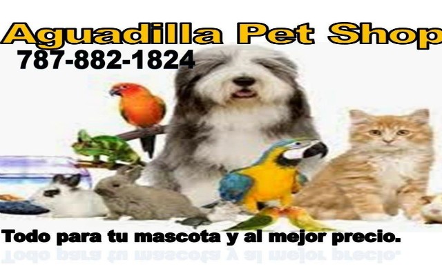 Aguadilla Pet Shop