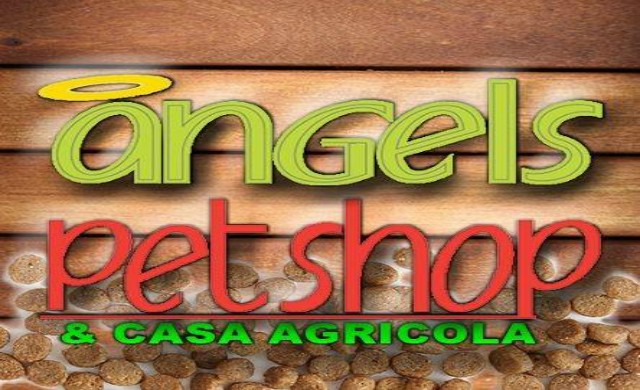 Angel's Petshop