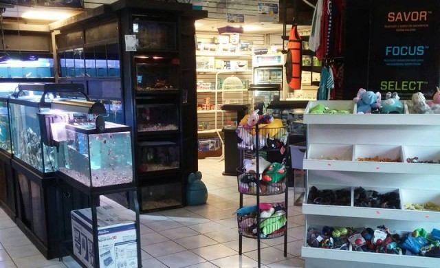 C&C Petshop