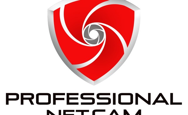 Professional Net Cam